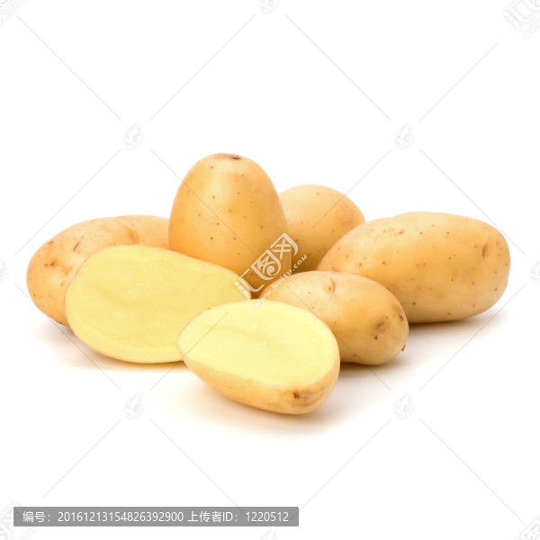 新土豆