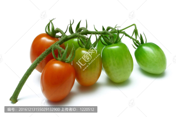 葡萄番茄