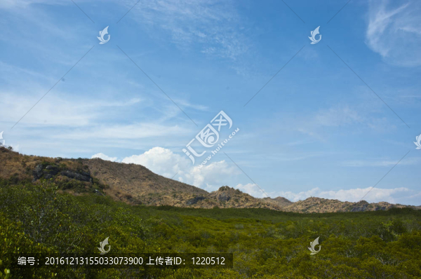 森林公園