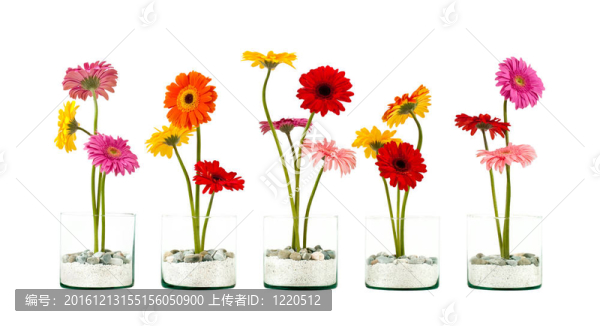 鮮花行