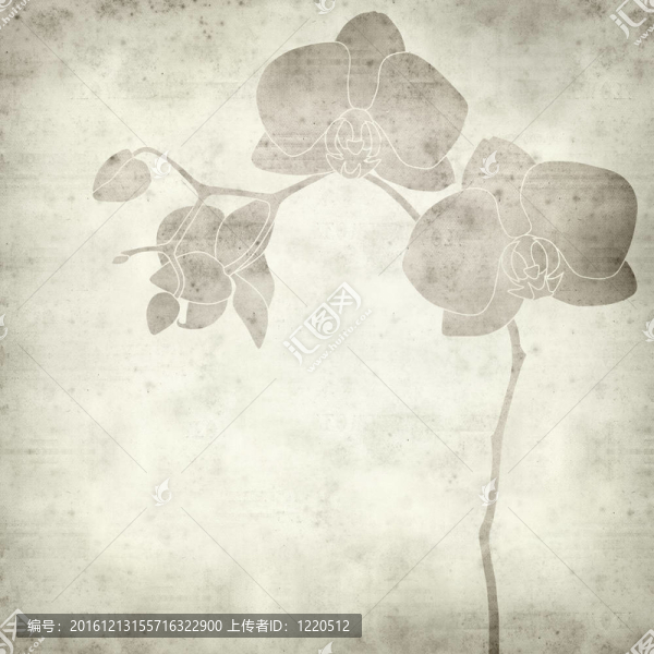 用蘭花畫質(zhì)感的舊紙背景