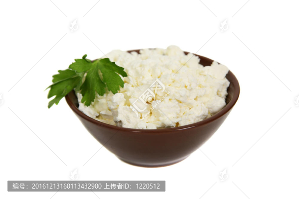 白色背景上孤立的平房干酪