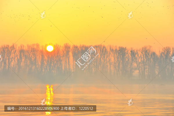 在多瑙河畔的日出