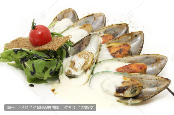 貽貝