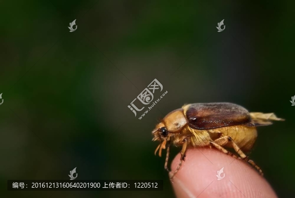 可能的錯誤