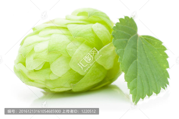 跳錐
