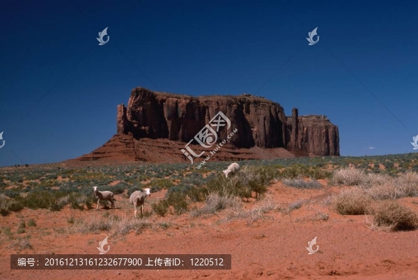 紀(jì)念碑山谷
