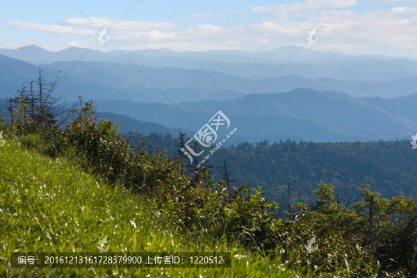 大煙山