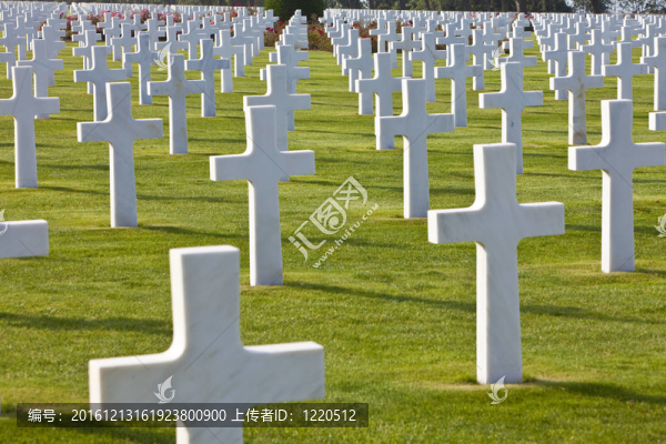 在2次世界大戰(zhàn)的美國公墓的白色十字架，行；Colleville,sur,Mer；奧馬哈海灘；諾曼底；