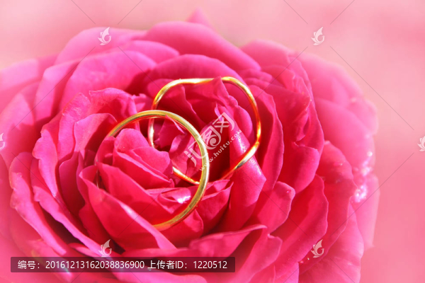 結(jié)婚戒指
