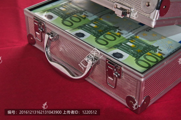 滿歐元的金屬外殼