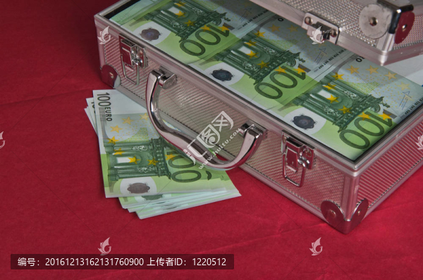 滿歐元的金屬外殼
