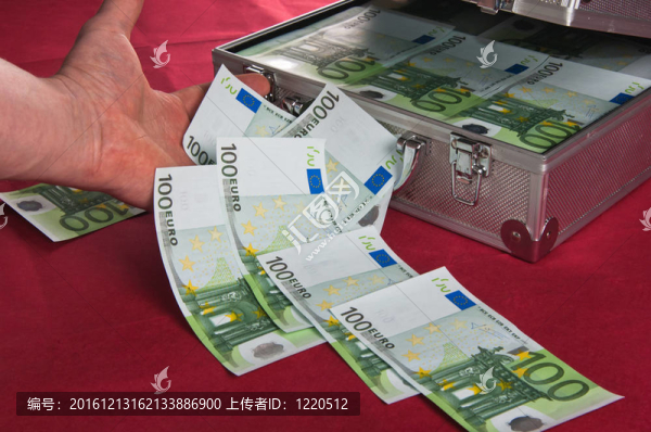 滿歐元的金屬外殼