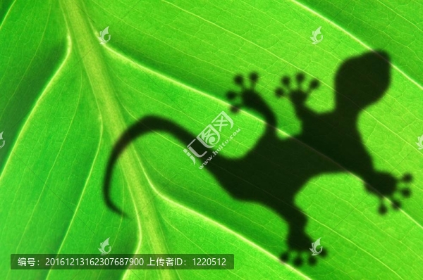 綠色叢林葉和壁虎
