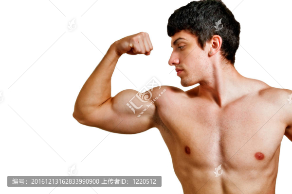 人肌肱二頭肌孤立在白色