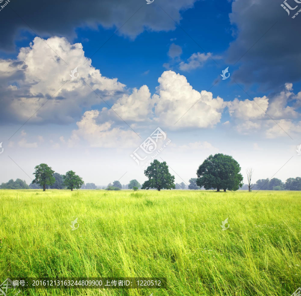 夏天的風(fēng)景