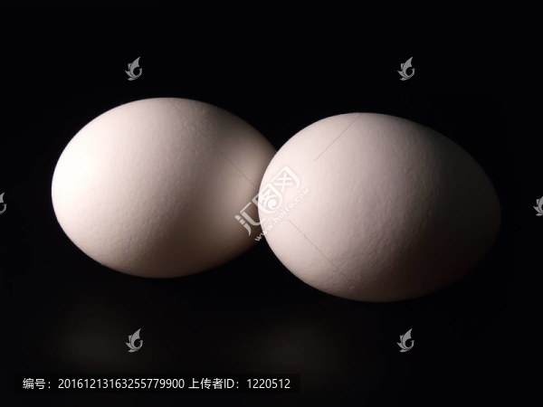雞蛋