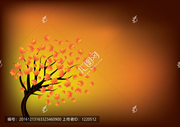 秋天的背景，孤獨(dú)的樹(shù)；10；圖