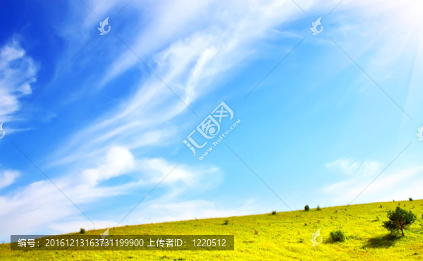 綠色草甸和藍(lán)天
