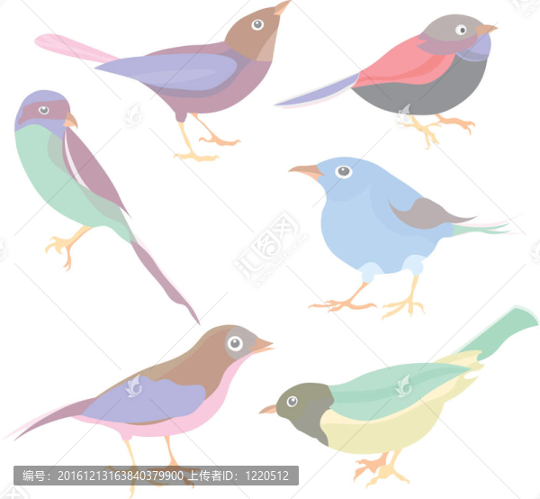 可愛(ài)鳥組