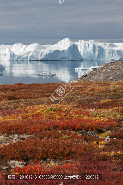 Kangia,icefjord