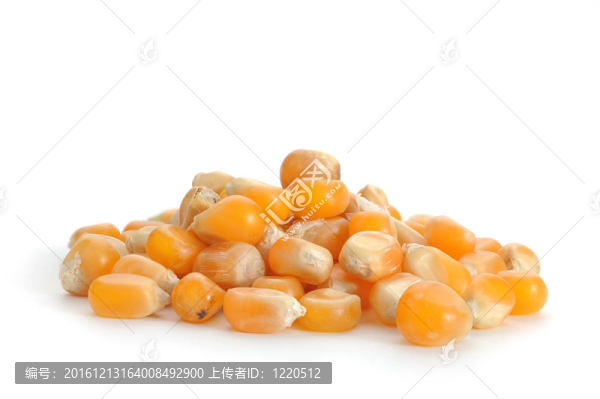 玉米
