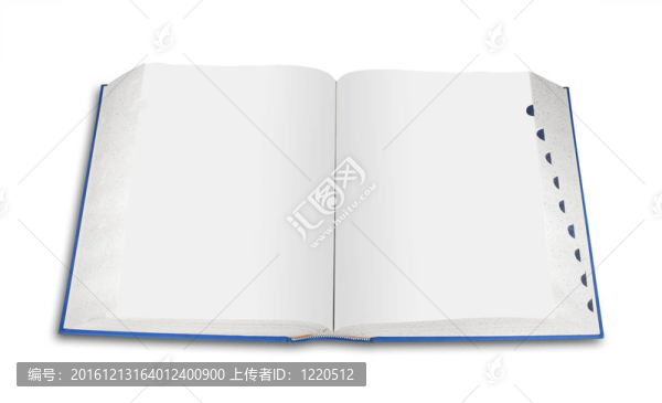 空白書；孤立的