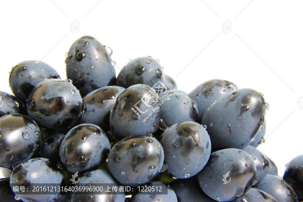 葡萄-匯圖網(wǎng) www.fosd68.com 葡萄