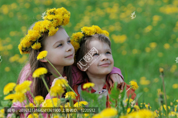 弟弟和妹妹蒲公英的花環(huán)