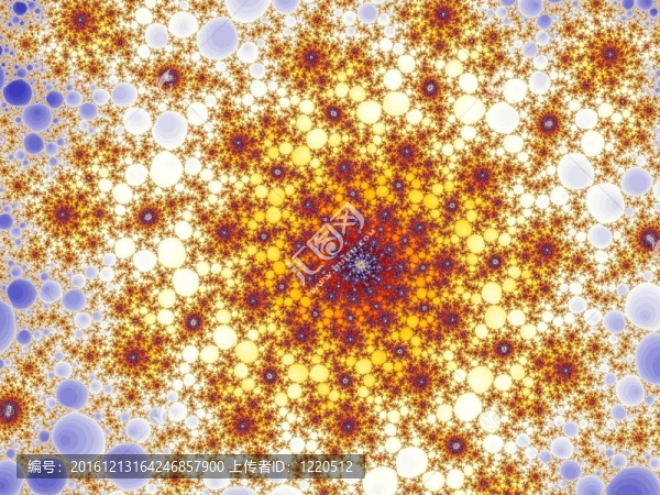 分形的明星