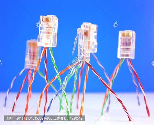 接頭RJ45網(wǎng)絡(luò)。淺景深。