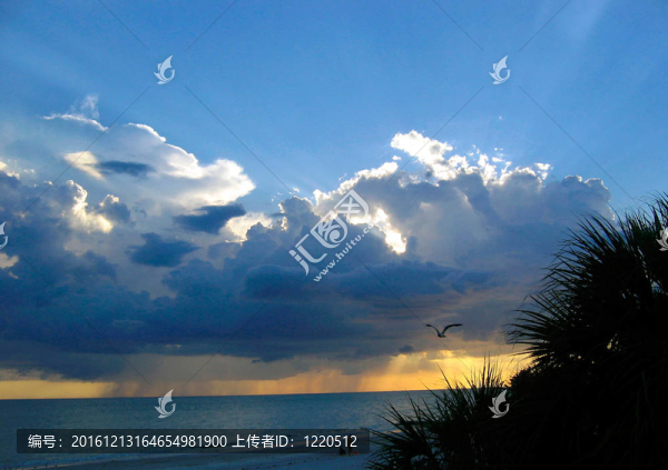 在馬德拉群島海灘的夜晚