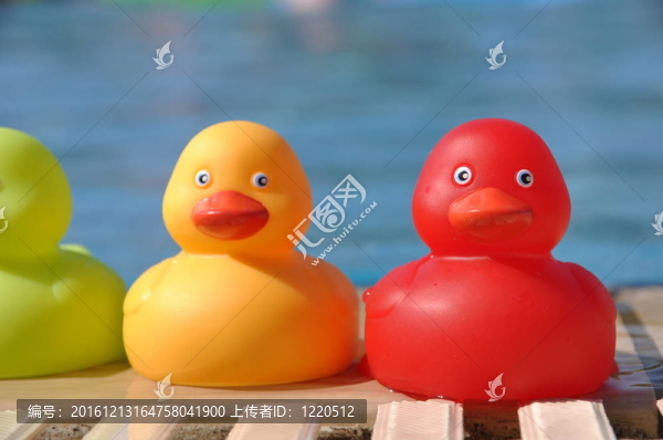 橡皮鴨