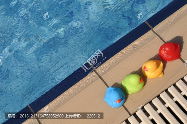橡皮鴨