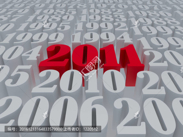 新的2011年