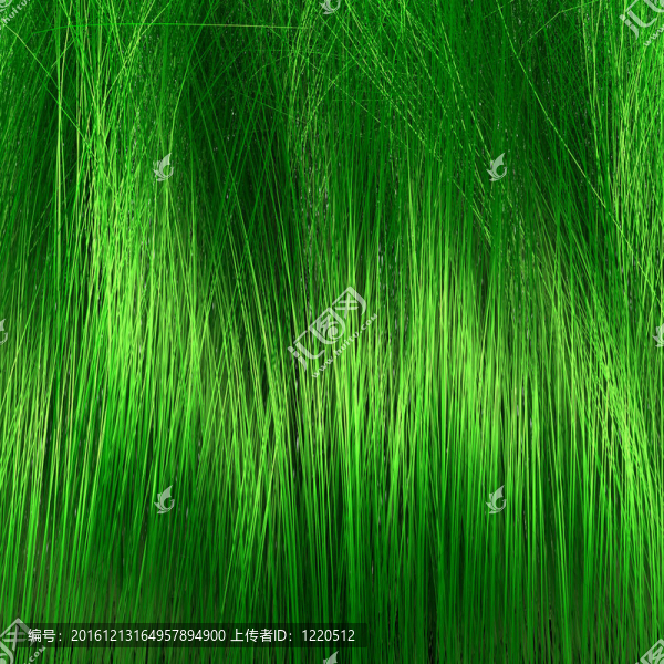 草或毛發(fā)