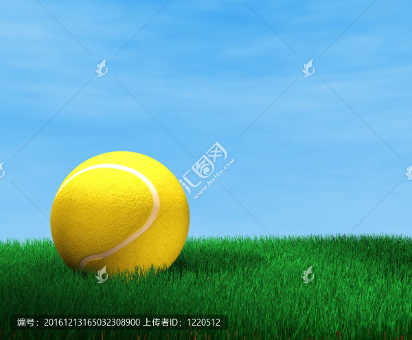 網(wǎng)球