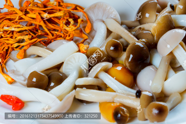 蘑菇