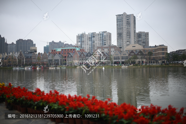 常德七里橋