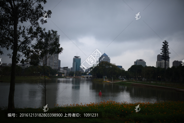 公園一角