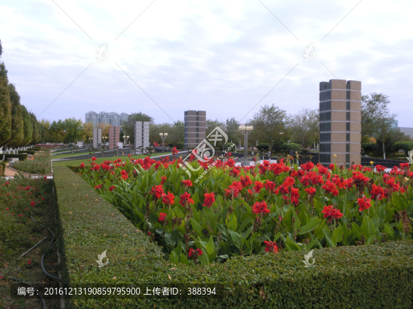 公園即景