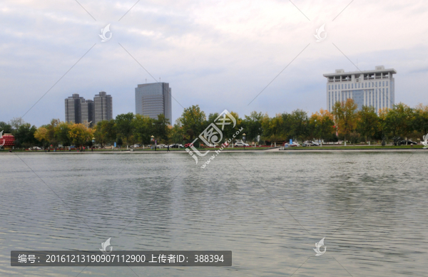 公園即景