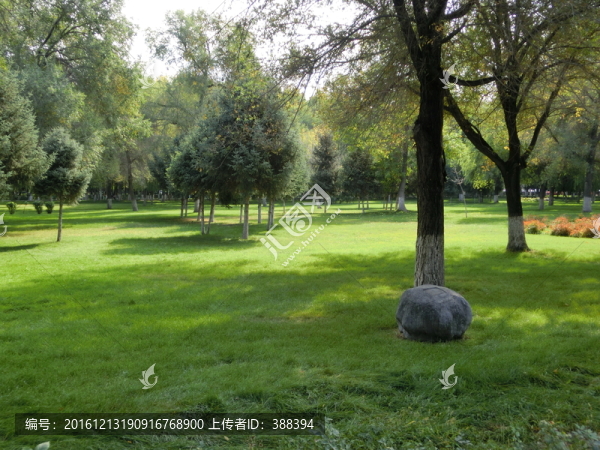 公園即景