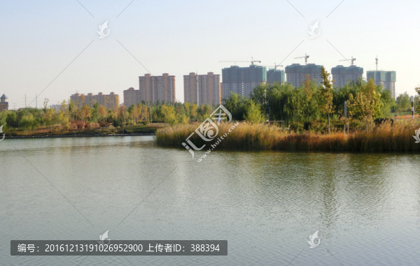 公園即景
