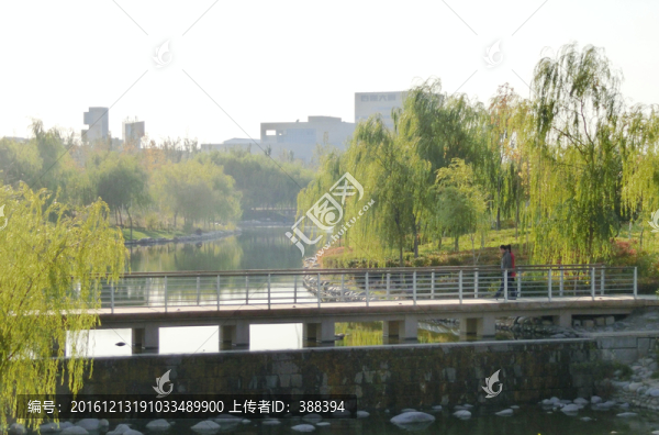 公園即景