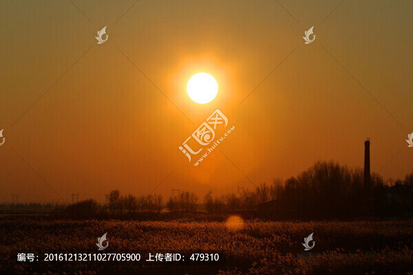 蘆葦,日落