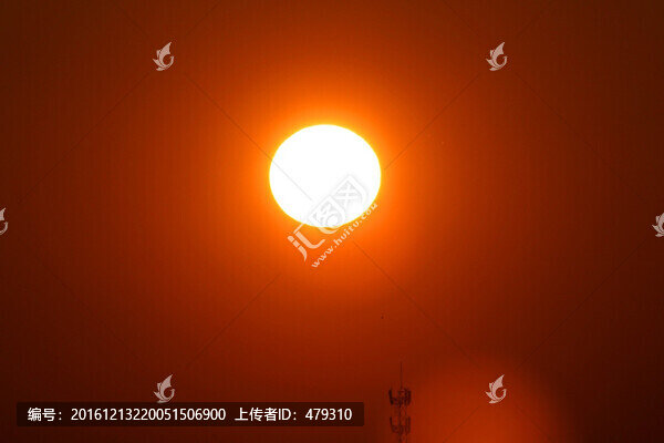 蘆葦,日落,黃昏,濕地