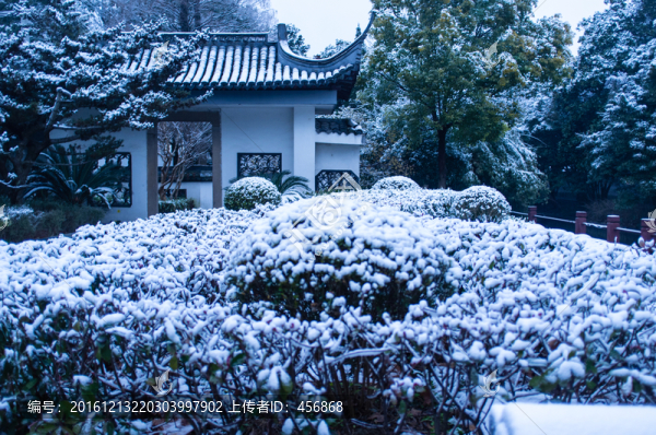 公園雪景