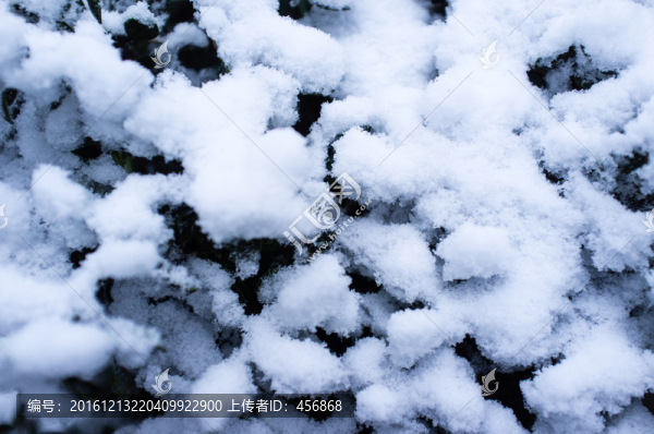 積雪,白雪