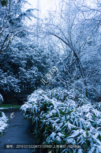 冬天公園